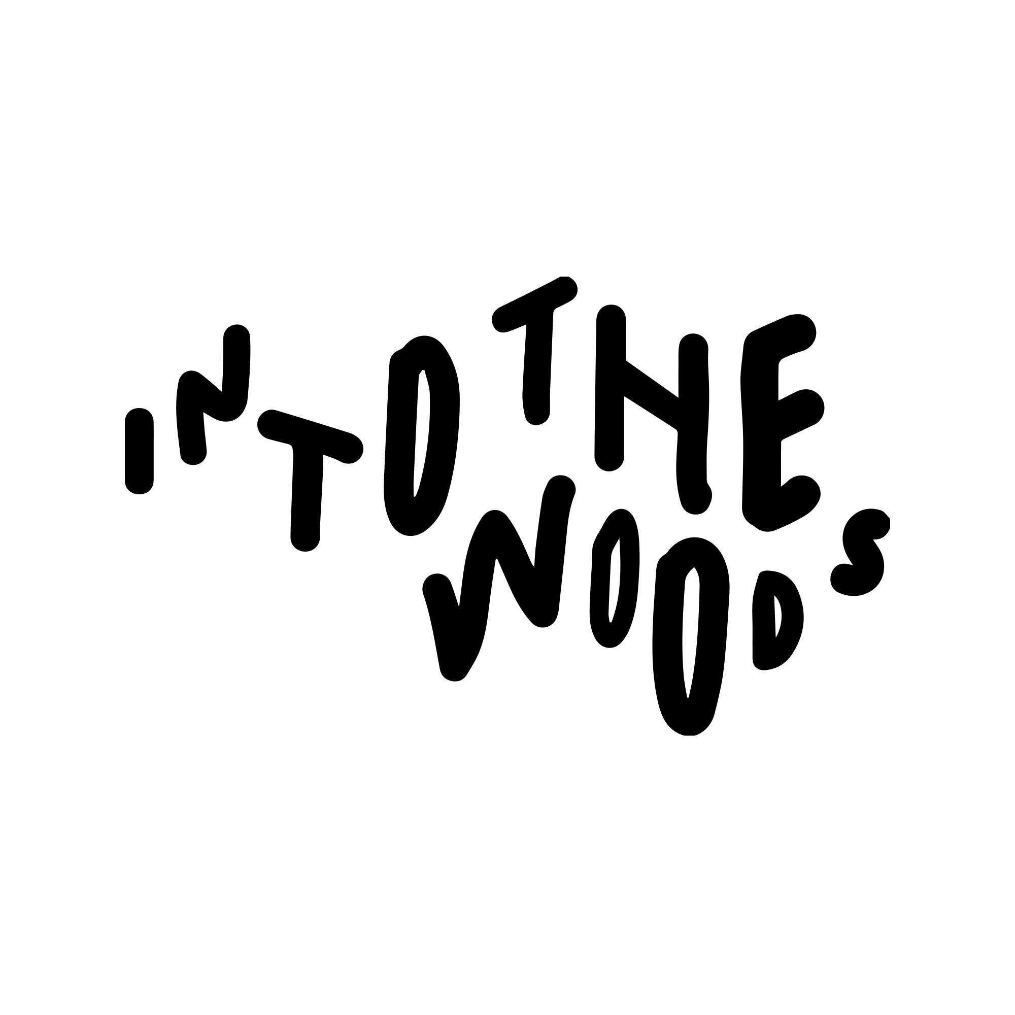 Pre-Order Into The Woods T-shirt "Zwart Logo"